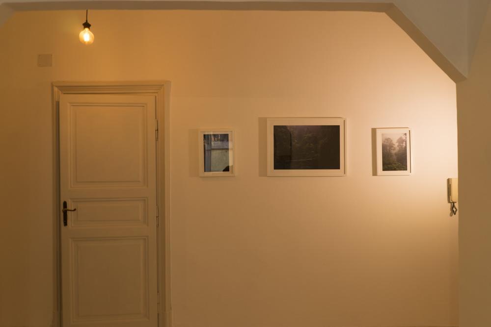 Trastevere Corner Eight Affittacamere